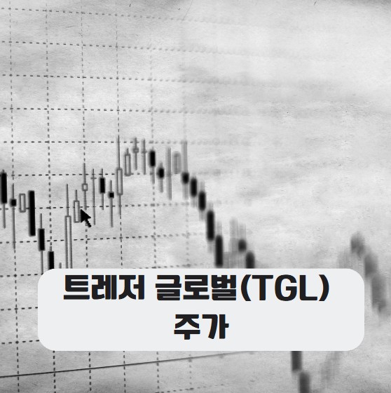 트레저 글로벌(TGL) 주가