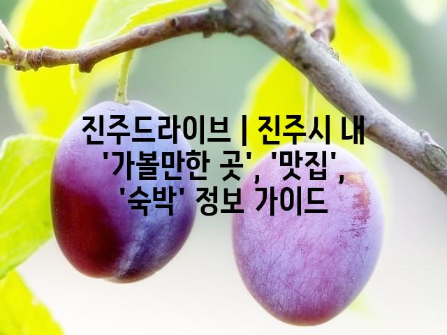 랜덤185