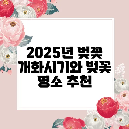 2025년 벚꽃 개화시기와 벚꽃 명소 추천