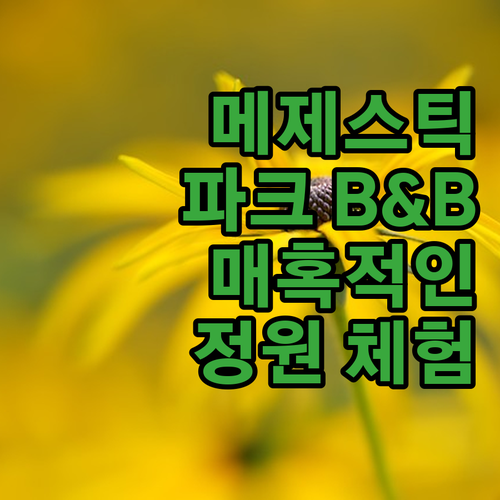 메제스틱 파크 B & B의 매혹적인 