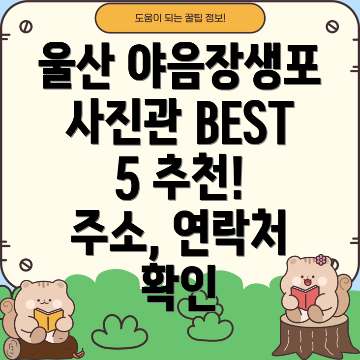 울산 남구 야음장생포동 사진관 BEST 5 주소, 위치, 운영시간, 전화번호 총정리