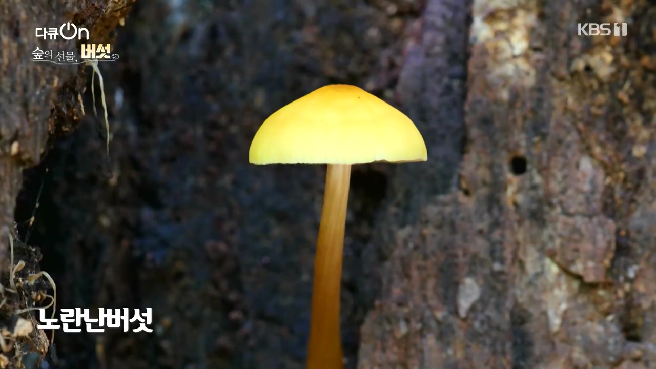 다큐 온.E227.231120p-NEXT.mp4_20231121_201838.470.jpg