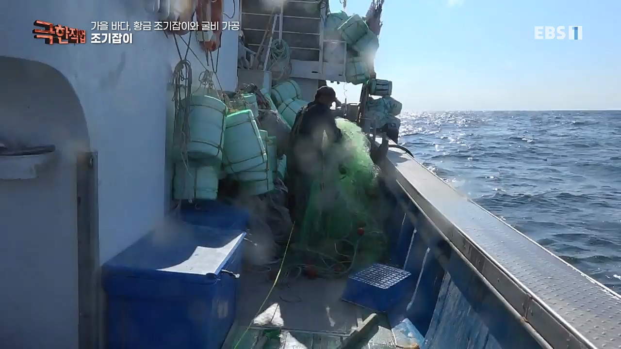 TV - 교육의 중심 EBS가을 바다 황금 조기잡이와 굴비 가공.mp4_20221122_195432.365.jpg