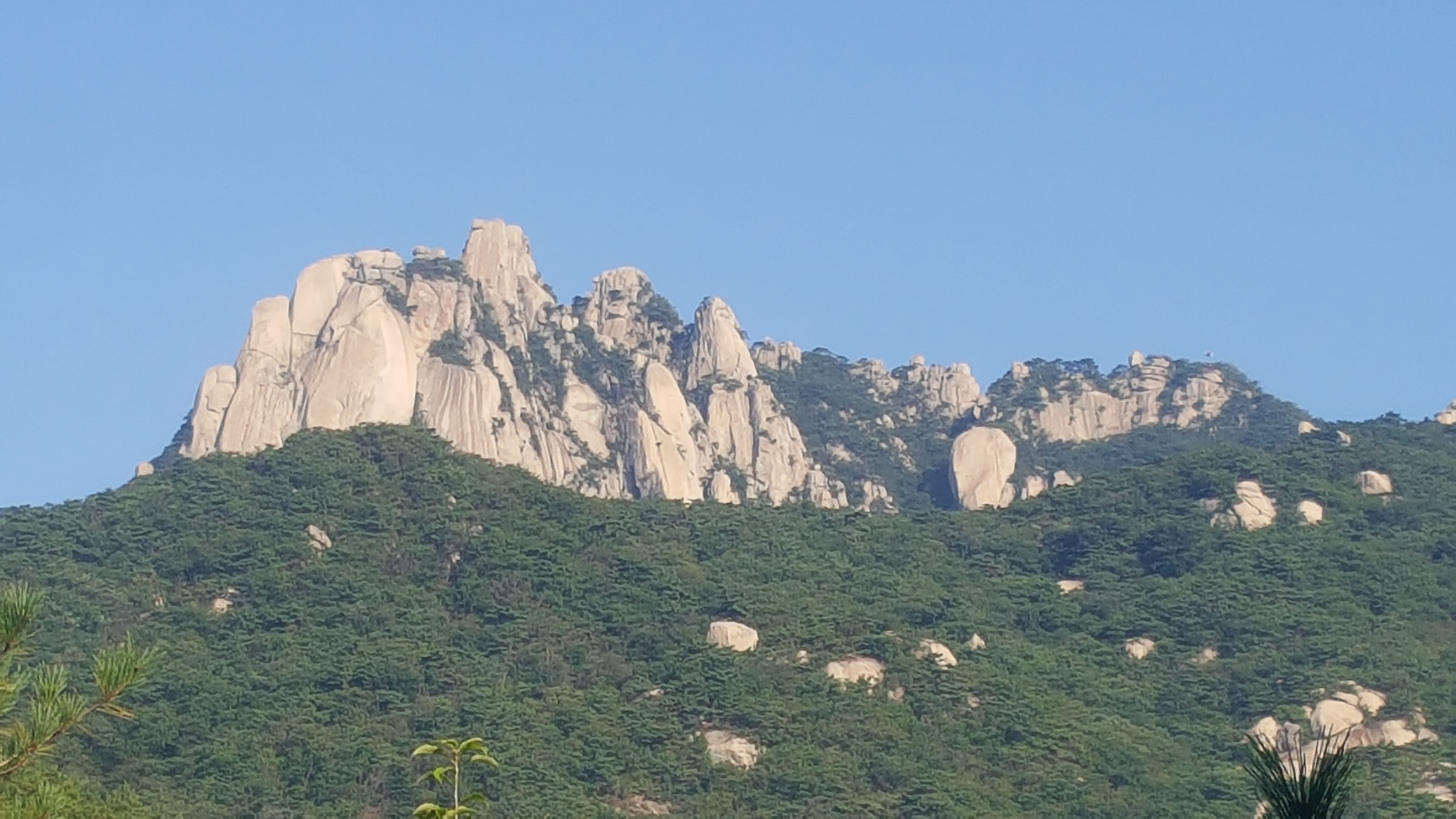 디이즈 이미지