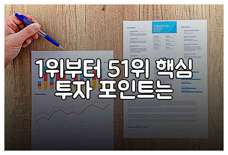 1위부터 51위 핵심 투자 포인트는