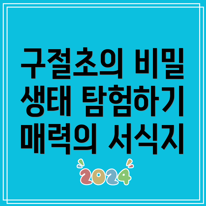 구절초