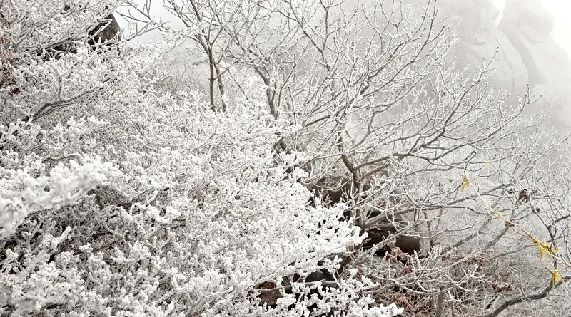 합천 가야산 설경