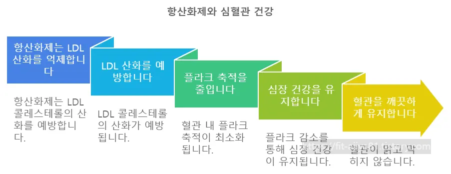 항산화제가 심혈관 질환을 개선시키는 효능