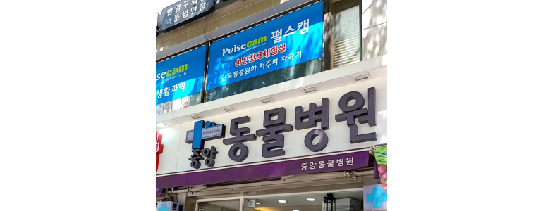 성남 수정구 동물병원