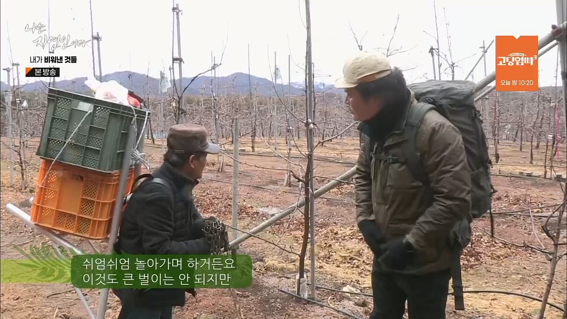 나는 자연인이다.E543.230301p.H264-F1RST.mp4_20230302_192639.540.jpg