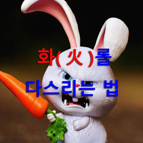  화를 다스리는 법