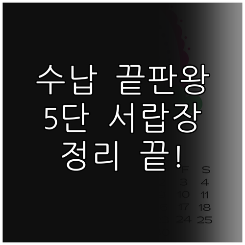 원룸 수납 해결책 5단 서랍장 선택 