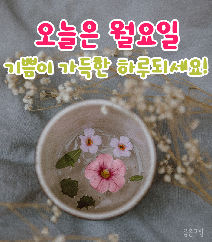 월요일 굿모닝 좋은아침 인사말 이미지 월요일 굿모닝 좋은아침 인사말 이미지