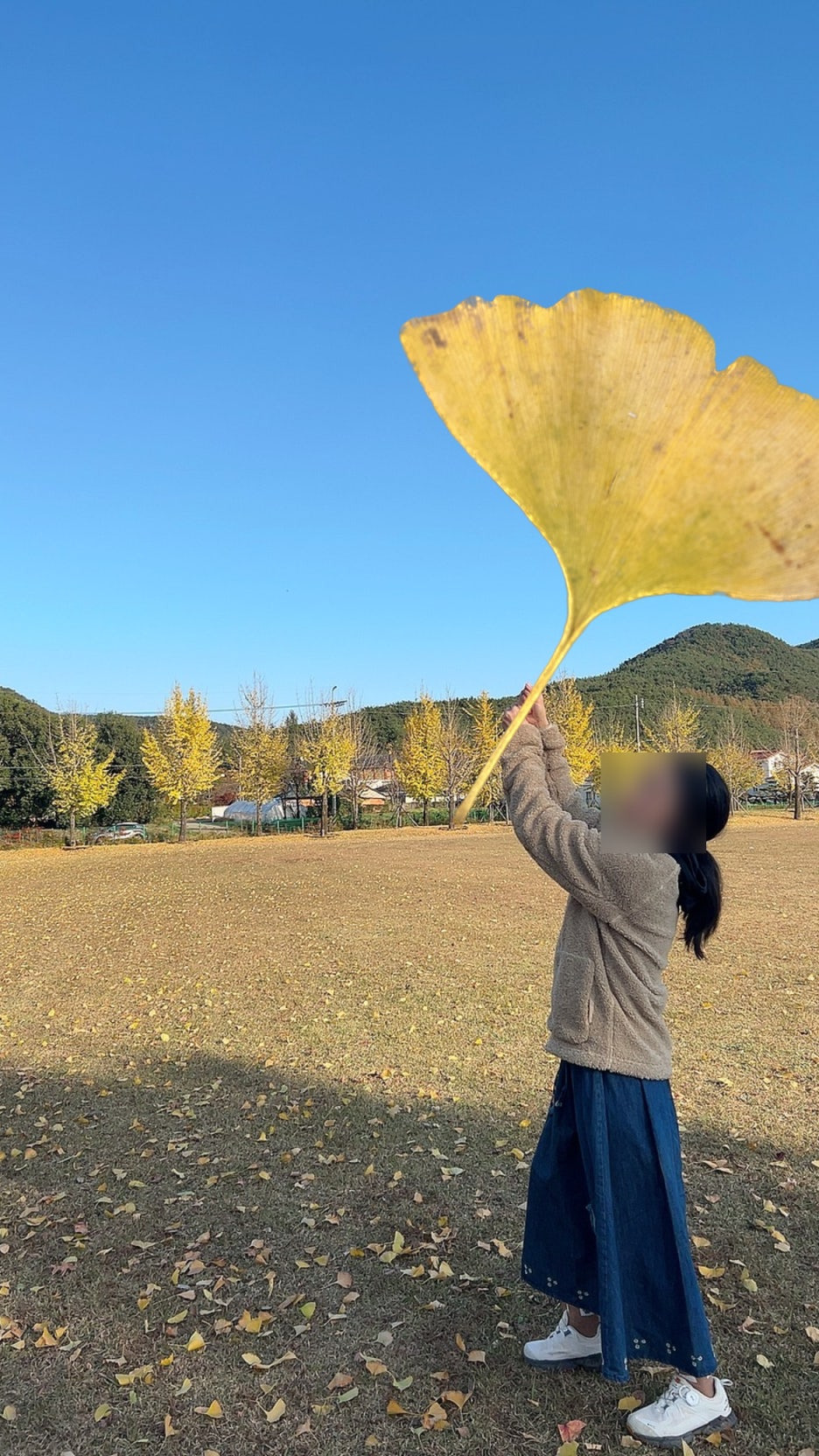단성 이미지