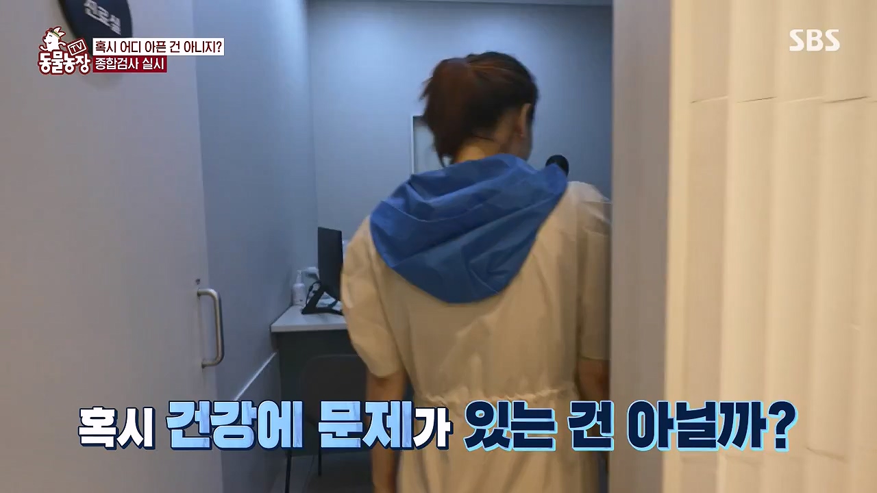 TV 동물농장.E1187.240902p-NEXT.mp4_20240901_155455.228.jpg