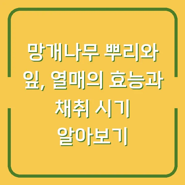 망개나무 뿌리와 잎, 열매의 효능과 채취 시기 알아보기