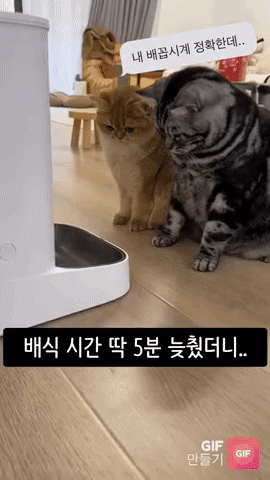 1030