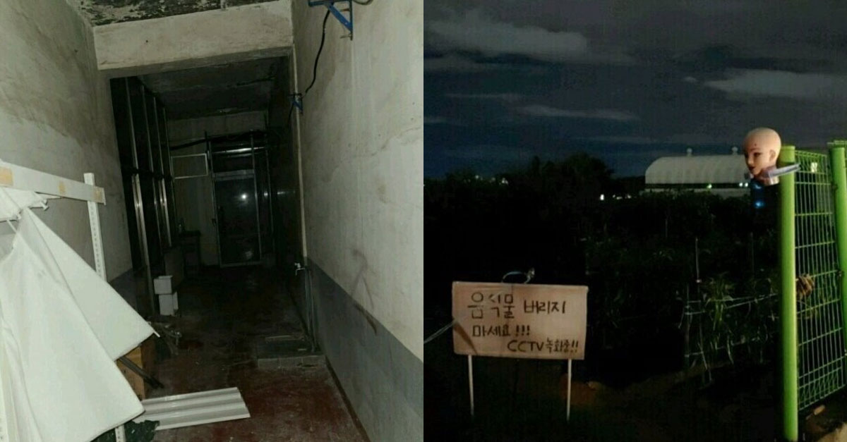  쿠팡맨들이 말하는 무서웠던 배송지역들 ㄷㄷ