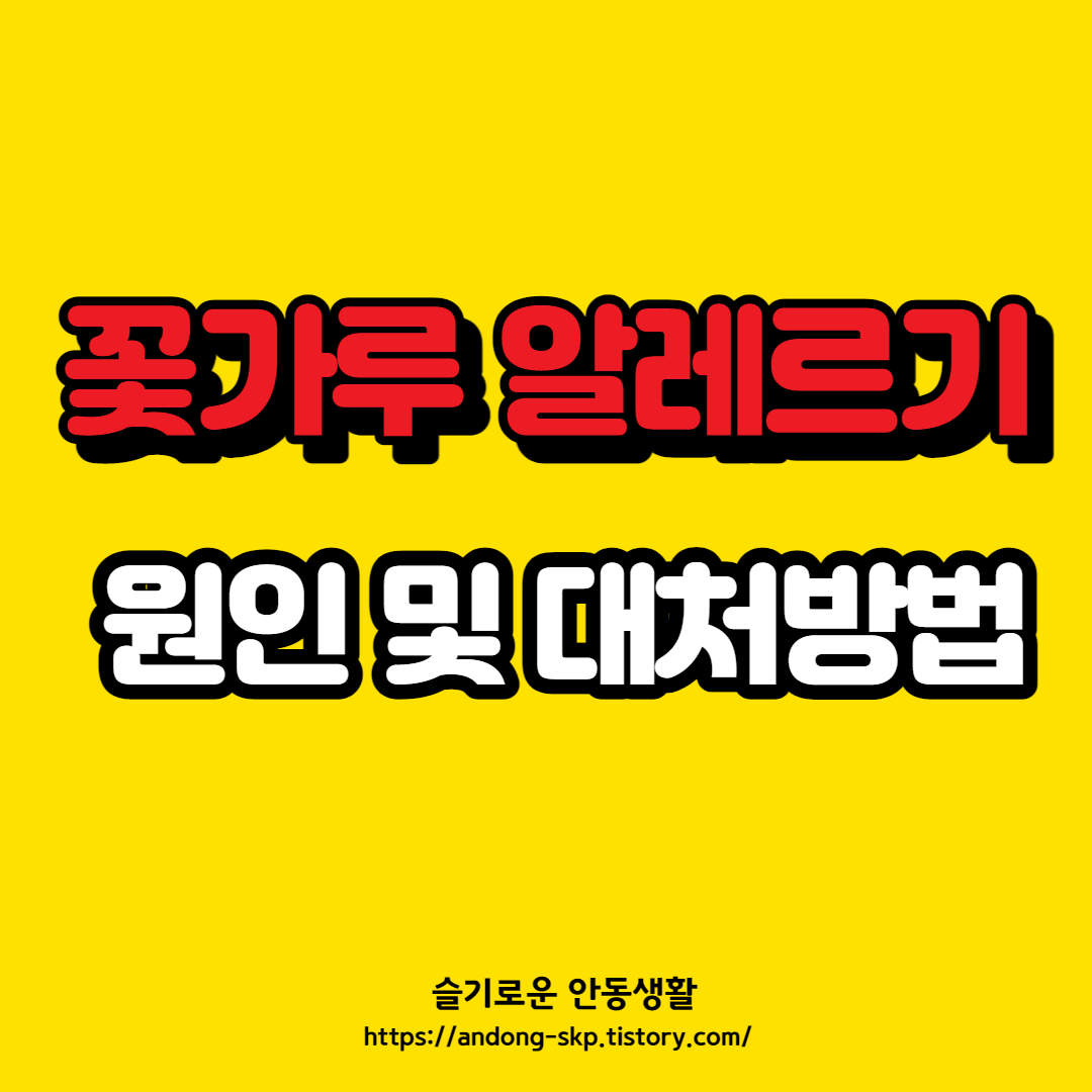  봄철 비염, 알레르기 원인 및 대처방법(송화가루, 꽃가루)