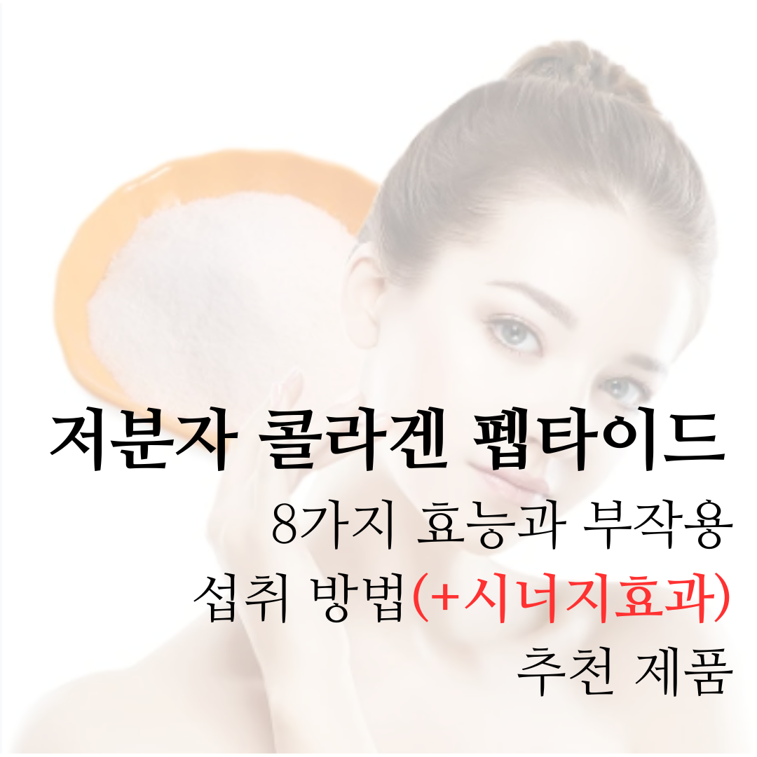 저분자-콜라겐-펩타이드-효능-8가지와-부작용-섭취방법- 추천제품