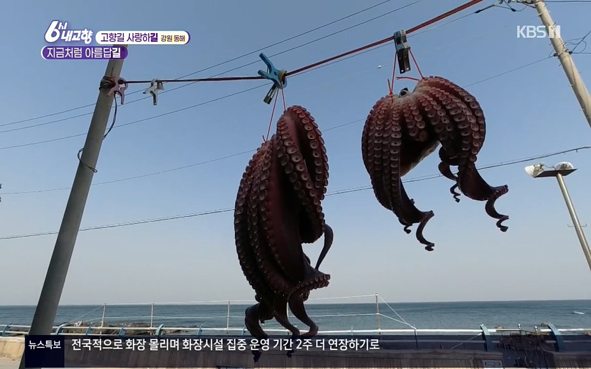 6시 내고향.E7512.220416p.H264-F1RST.mp4_20220502_192141.144.jpg