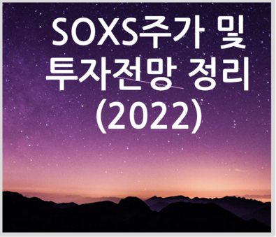 제목: SOXS주가 및 투자전망(2022)