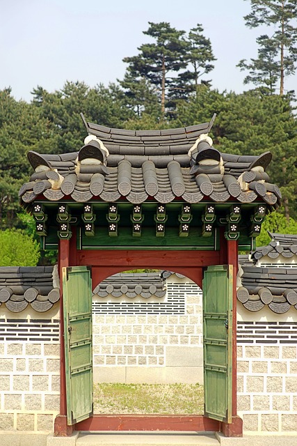 고려 초기 중앙 관료 체제의 특징과 신라·발해 제도의 차이 살펴보기