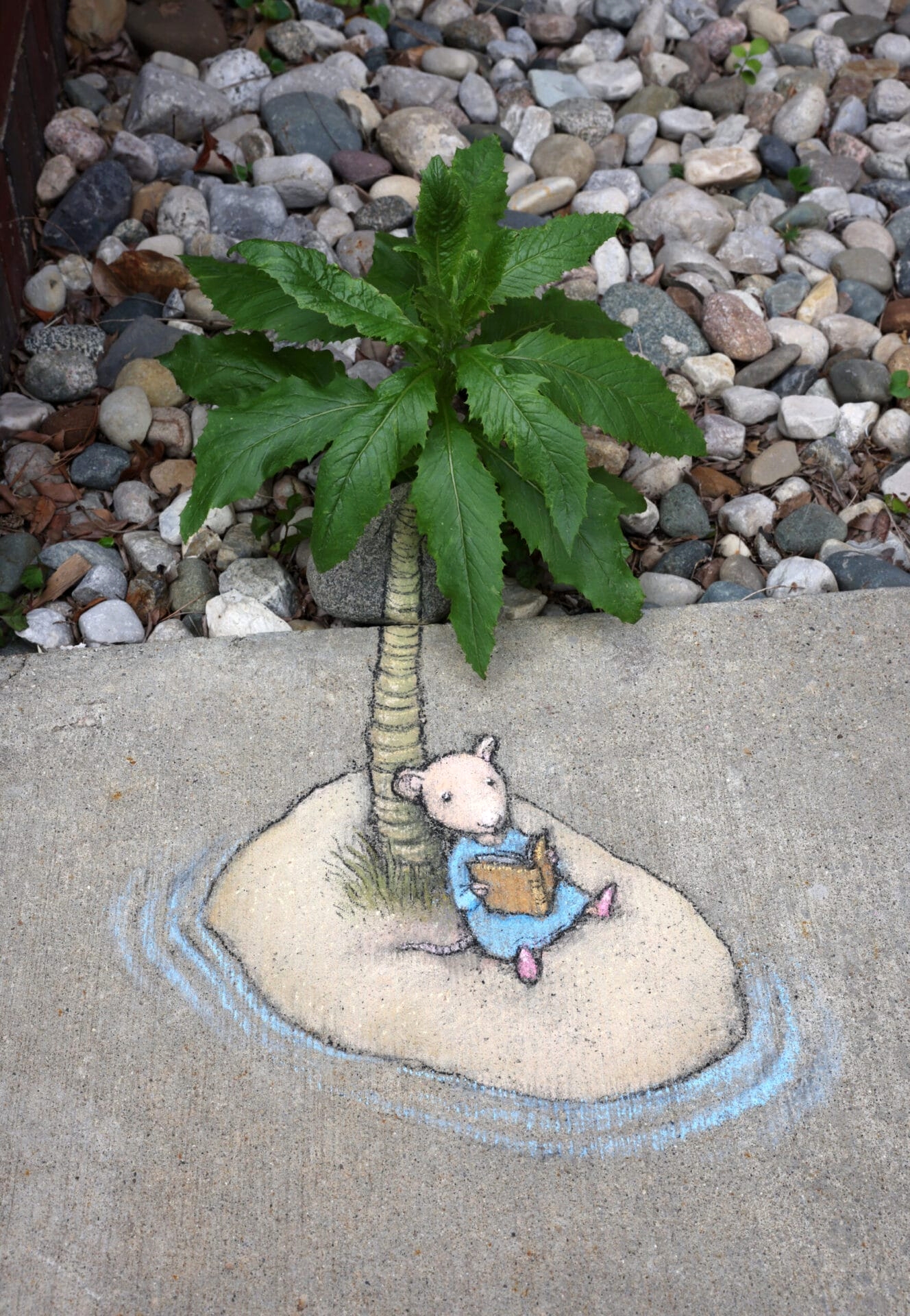 데이비드 진(David Zinn), 미국, 예술가, 1973-현재
