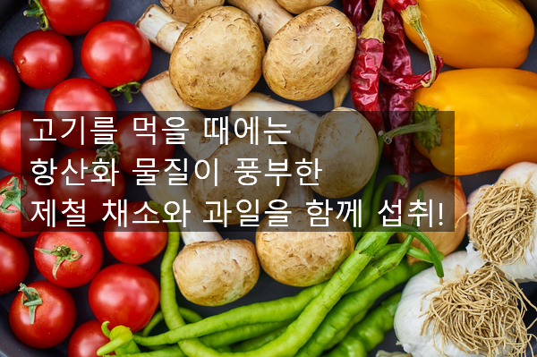 단백질의 중요성과 빠른 면역력 회복 필요! [AHCC 박사] 위암에 좋은 음식, 2