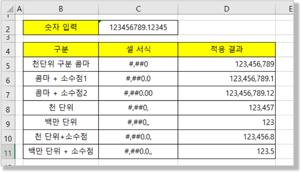 숫자 서식 - 확장 적용