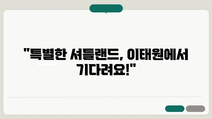 셔틀랜드쉽독의 특성과 관리 방법