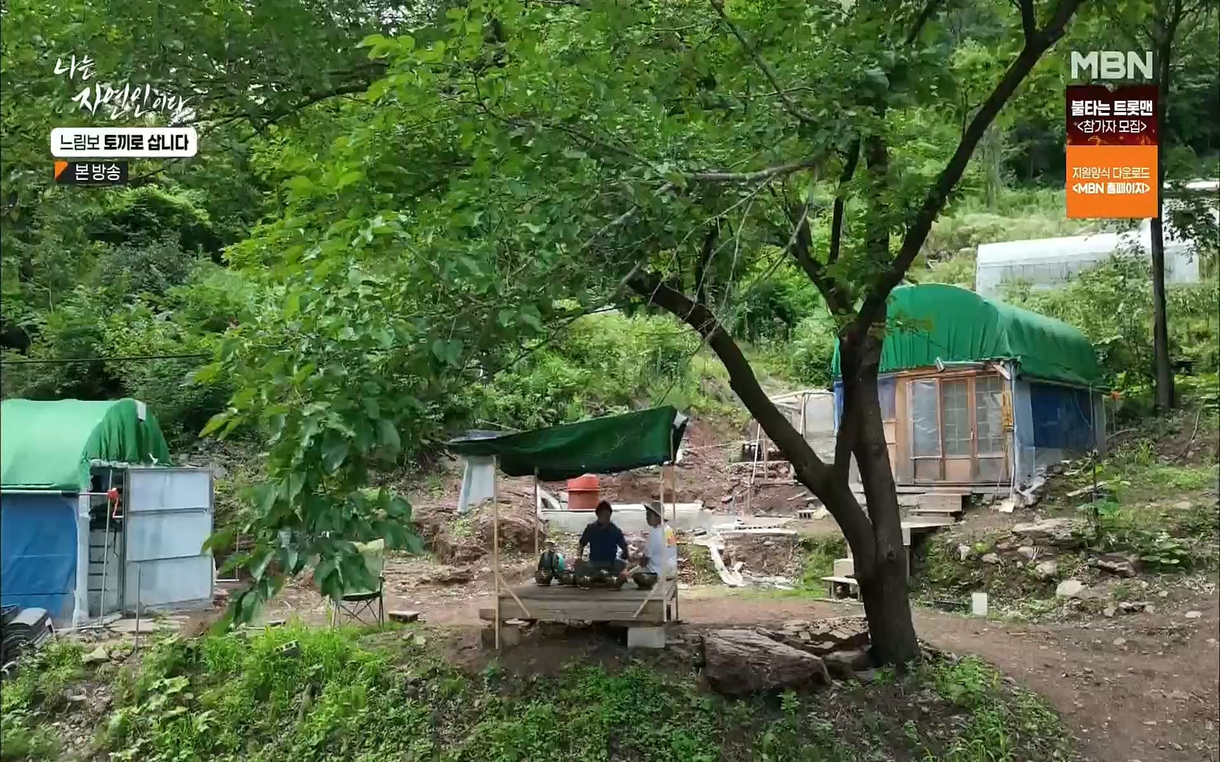 나는 자연인이다.E514.220810p.H264-F1RST.mp4_20220811_202555.992.jpg