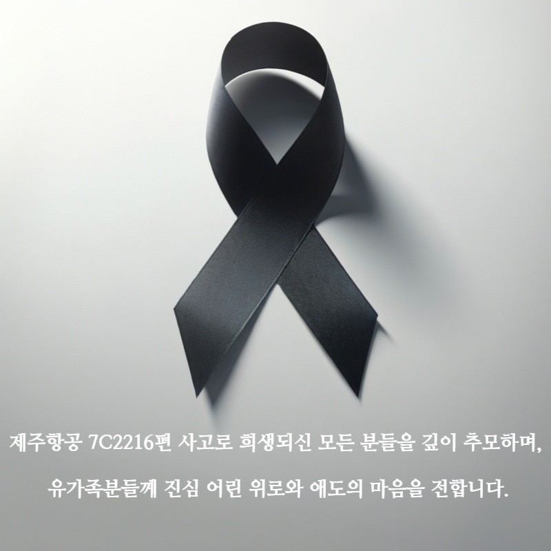 제주항공 7C2216편 사고와 국가애도기간