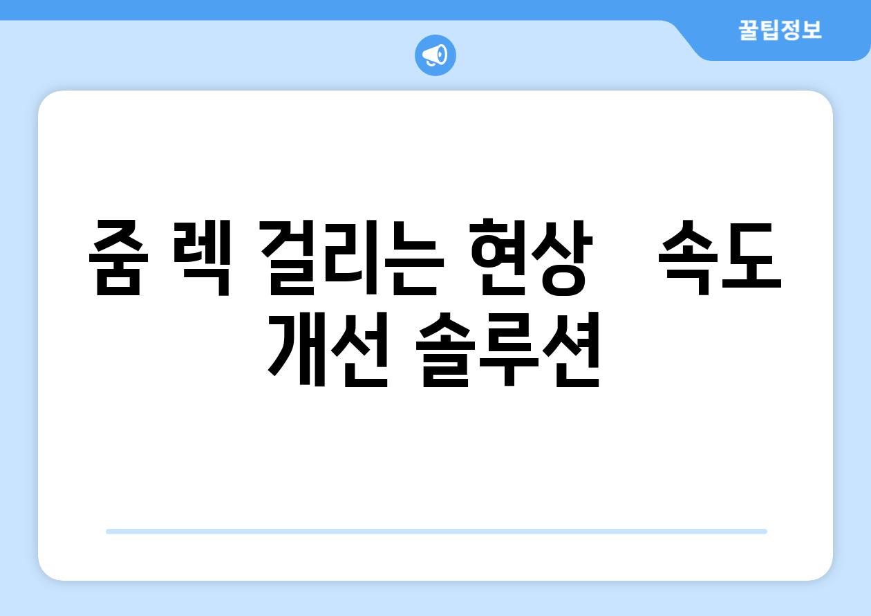 줌 렉 걸리는 현상 속도 개선 솔루션