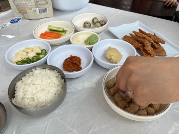 돌고래송어장