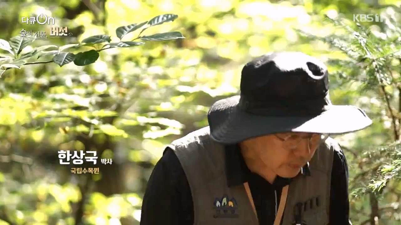 다큐 온.E227.231120p-NEXT.mp4_20231121_201810.534.jpg