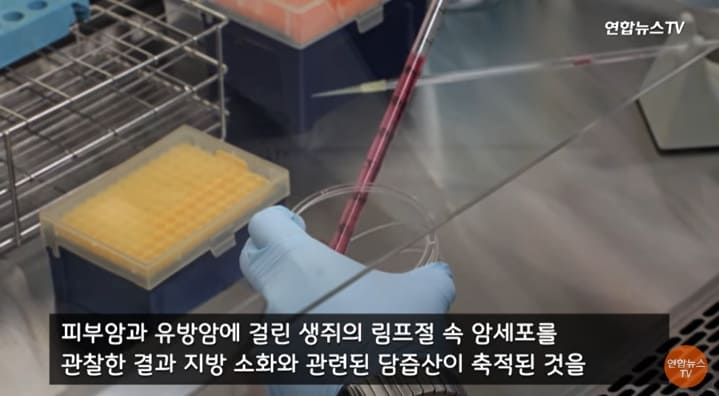  "암 환자의 큰 걱정 '전이' 메커니즘 세계 최초로 규명...치료법 개발 탄력" 기초과학연구원
