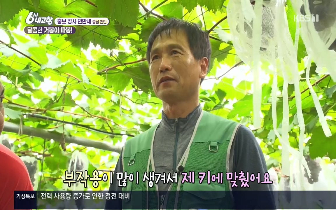 6시 내고향.E7583.220727p.H264-F1RST.mp4_20220727_213907.209.jpg