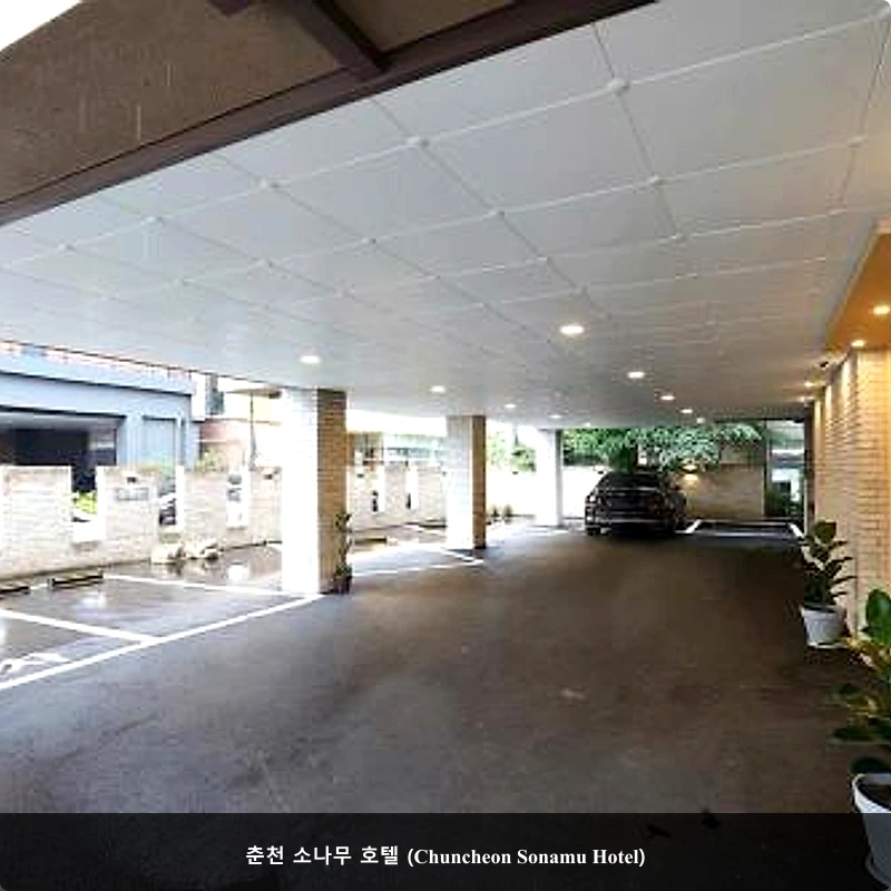 춘천 소나무 호텔 (Chuncheon Sonamu Hotel)_3