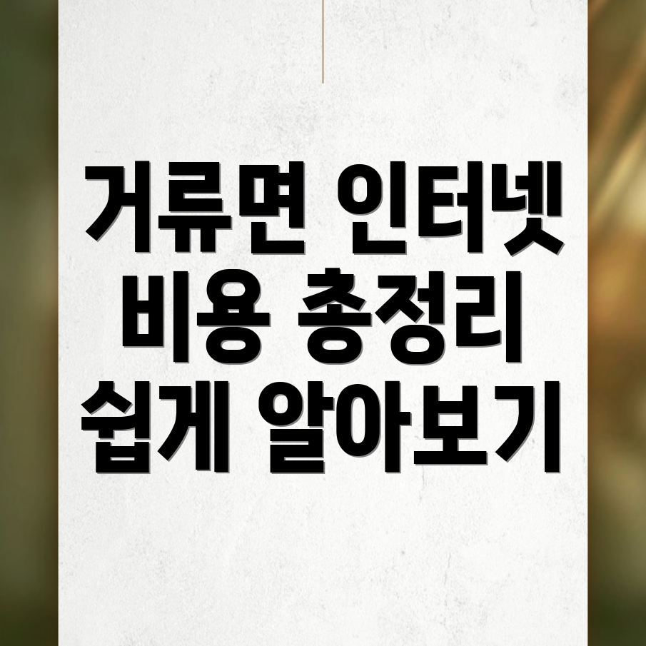 인터넷 이전설치 비용