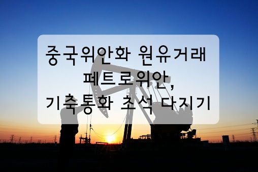  중국 위안화 원유거래, 페트로위안 기축통화 초석 다지기