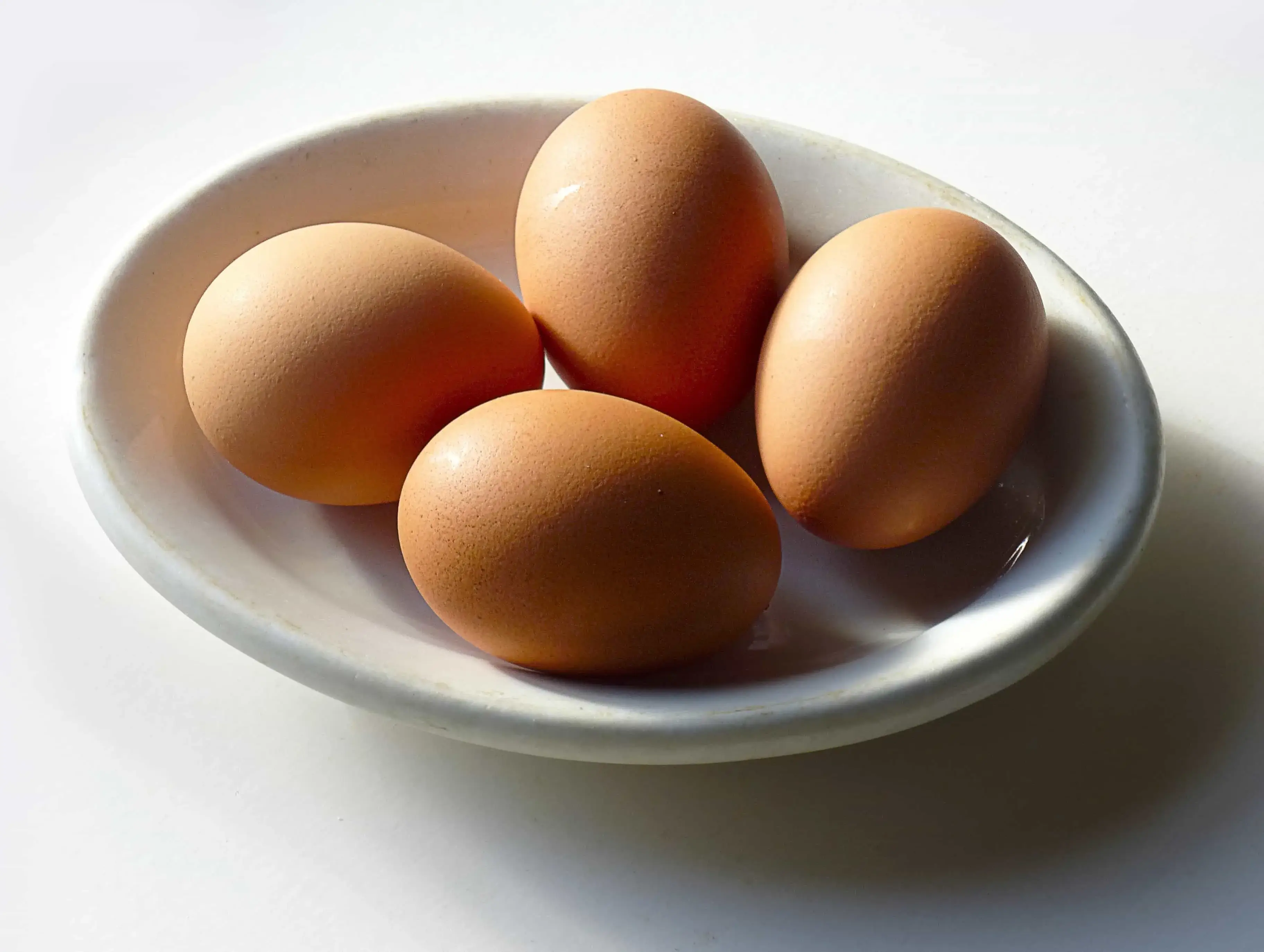 계란-달걀
