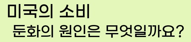  미국의 소비 둔화의 원인은 무엇일까요?