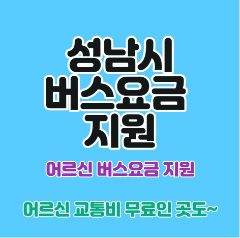 성남시 어르신 버스요금 지원