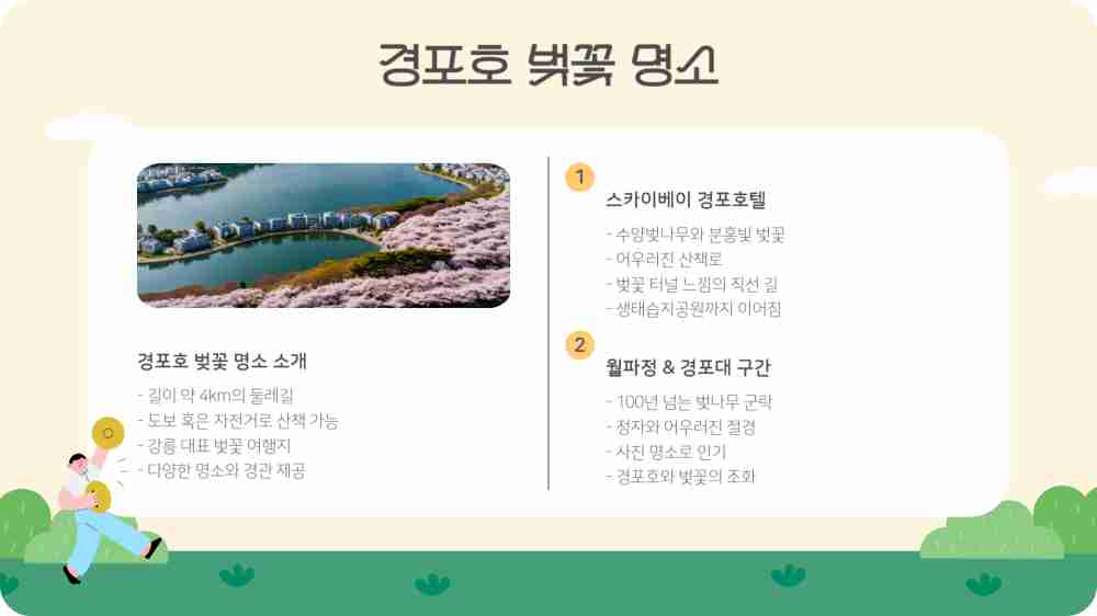 경포대 벚꽃 개화시기 개화상황 CCTV 확인하기