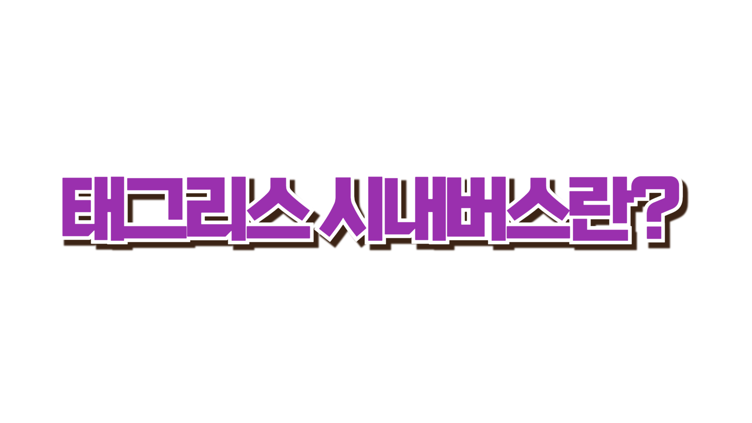 태그리스 시내버스란? 사진