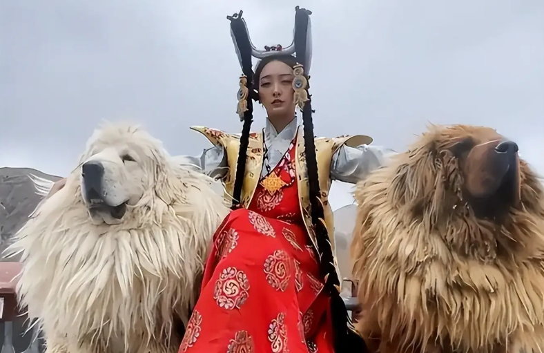티베트족