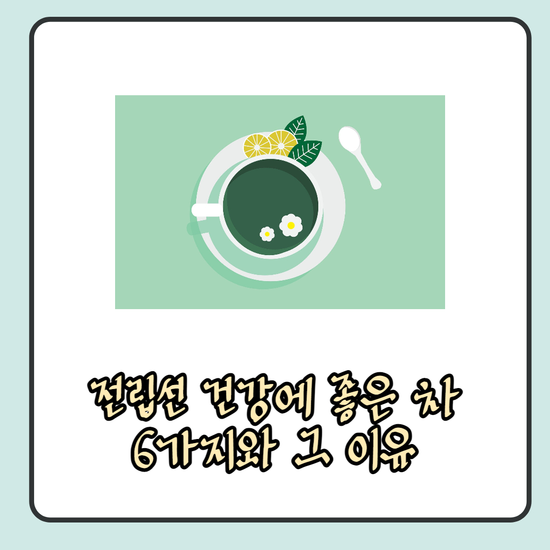  전립선에 좋은 차 6가지와 그 효능 총 정리