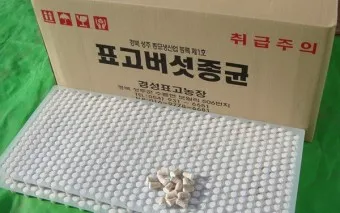 표고버섯 종균 재배법 보관법 및 효능 확인하기_7