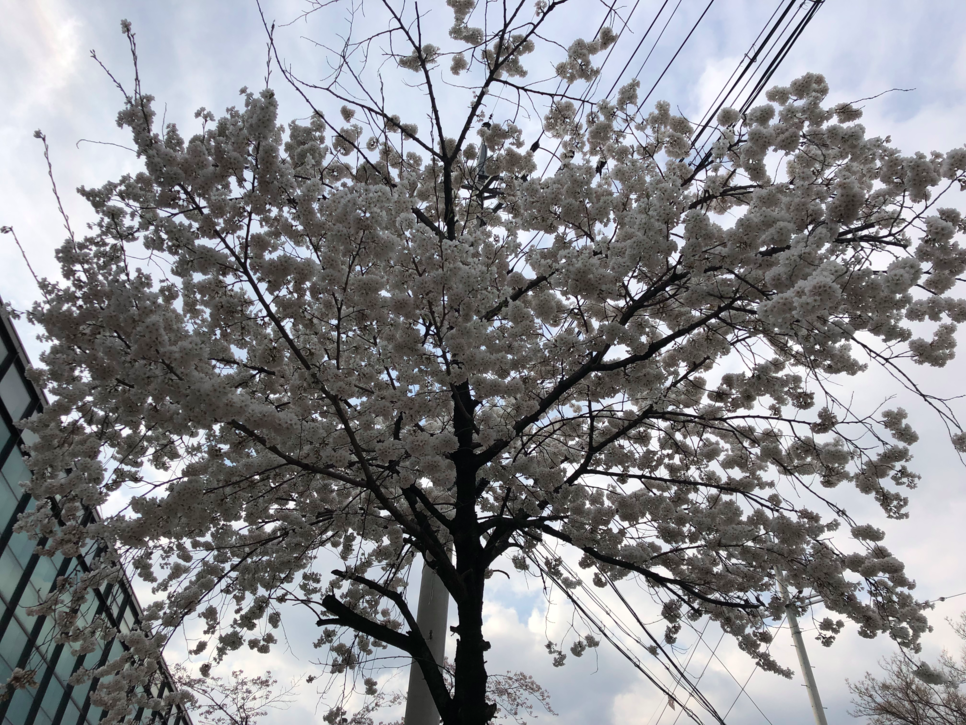  목표 시장에 대하여